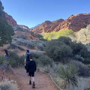 20250310-zion-02.jpg