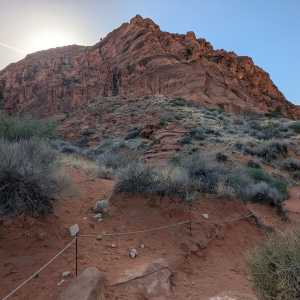 20250310-zion-03.jpg