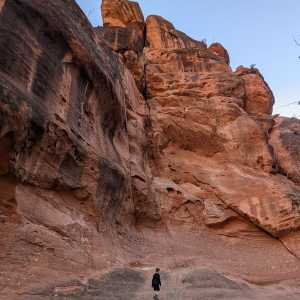 20250310-zion-04.jpg