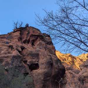 20250310-zion-05.jpg