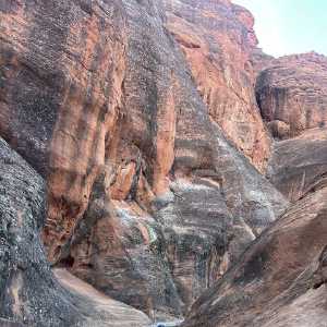 20250310-zion-06.jpg