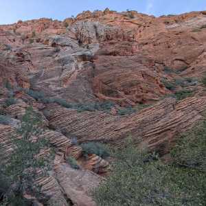 20250310-zion-07.jpg