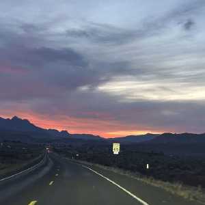 20250310-zion-08.jpg