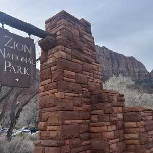 20250310-zion-09.jpg