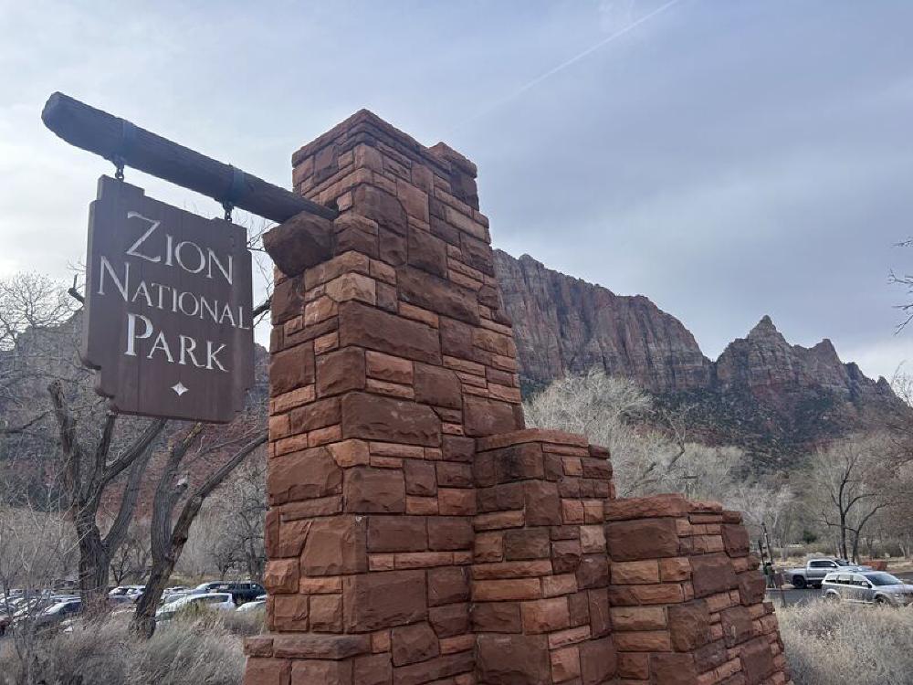 20250310-zion-09.jpg