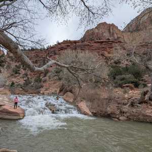20250310-zion-10.jpg