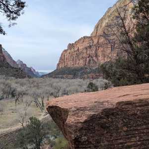 20250310-zion-11.jpg