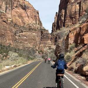 20250310-zion-13.jpg