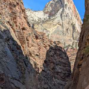 20250310-zion-14.jpg