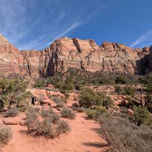 20250310-zion-17.jpg