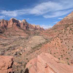 20250310-zion-18.jpg