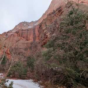 20250310-zion-19.jpg
