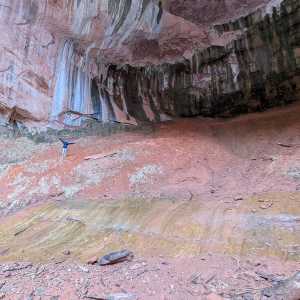 20250310-zion-20.jpg