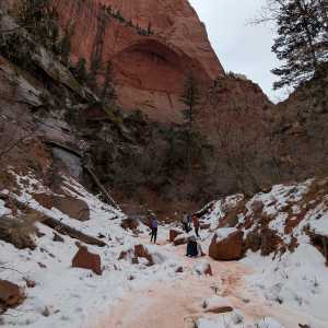 20250310-zion-21.jpg