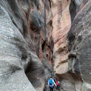 20250310-zion-22.jpg