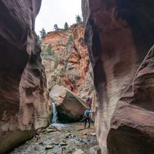 20250310-zion-23.jpg