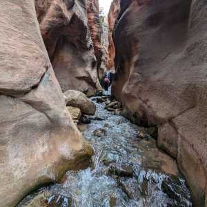20250310-zion-25.jpg