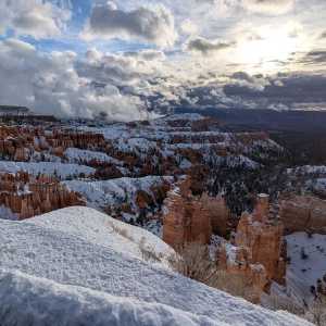 20250310-zion-26.jpg
