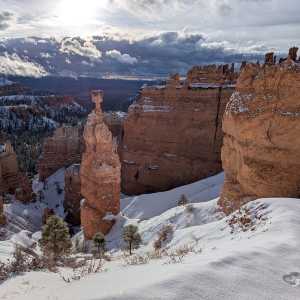 20250310-zion-27.jpg