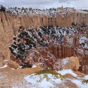 20250310-zion-32.jpg