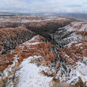 20250310-zion-33.jpg