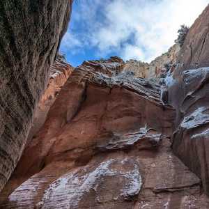 20250310-zion-37.jpg