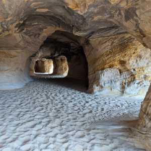 20250310-zion-39.jpg