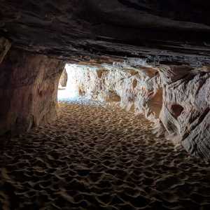 20250310-zion-40.jpg