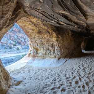 20250310-zion-41.jpg