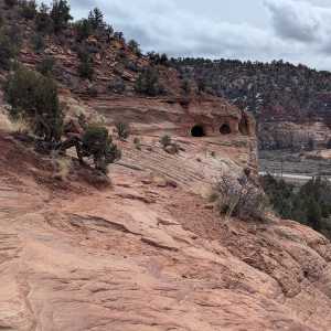 20250310-zion-43.jpg