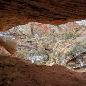 20250310-zion-44.jpg