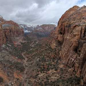 20250310-zion-45.jpg
