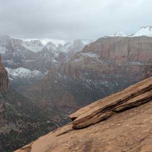 20250310-zion-46.jpg